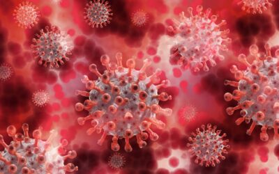 2019–20 Wuhan coronavirus outbreak: What to expect and what to plan?